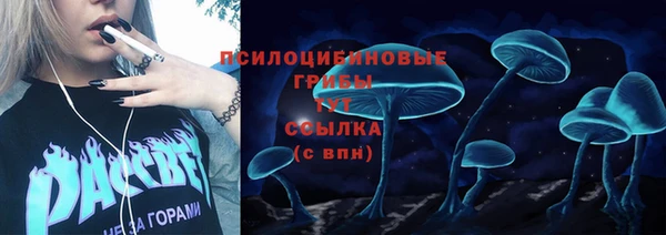 наркотики Богородицк