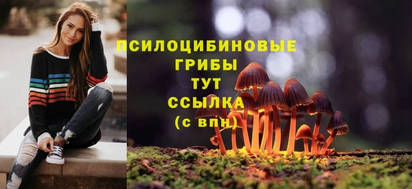марки lsd Богданович